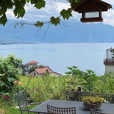 La Gremillette Gourmande Lavaux Apartman Rivaz Kültér fotó