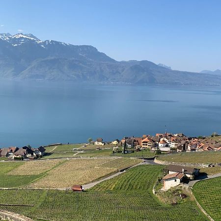 La Gremillette Gourmande Lavaux Apartman Rivaz Kültér fotó