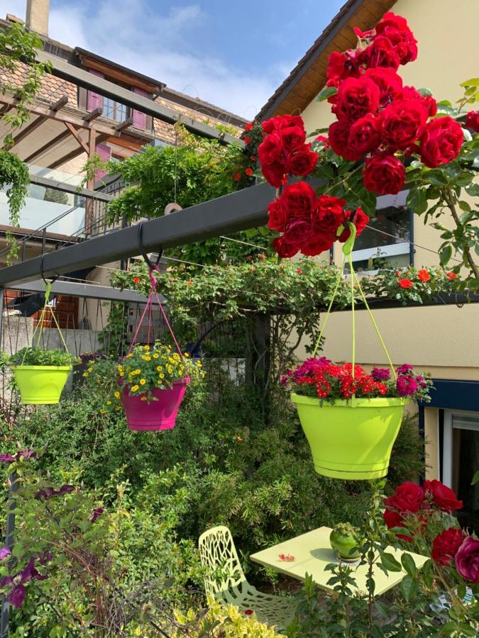 La Gremillette Gourmande Lavaux Apartman Rivaz Kültér fotó