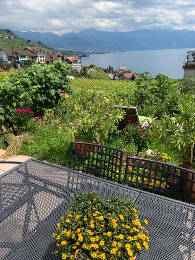 La Gremillette Gourmande Lavaux Apartman Rivaz Kültér fotó