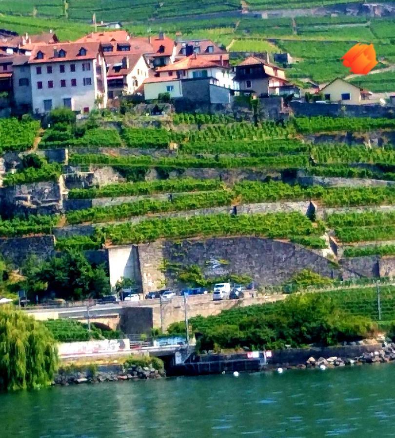 La Gremillette Gourmande Lavaux Apartman Rivaz Kültér fotó