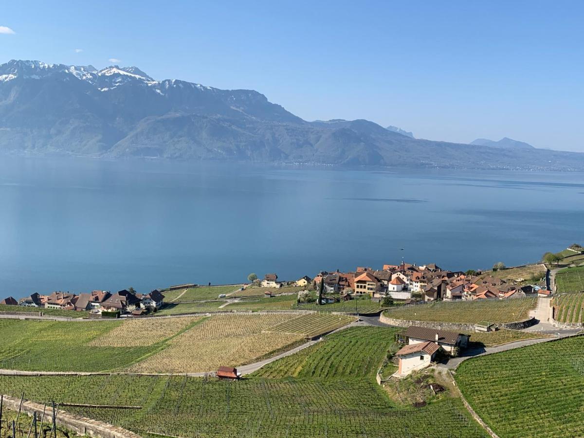 La Gremillette Gourmande Lavaux Apartman Rivaz Kültér fotó