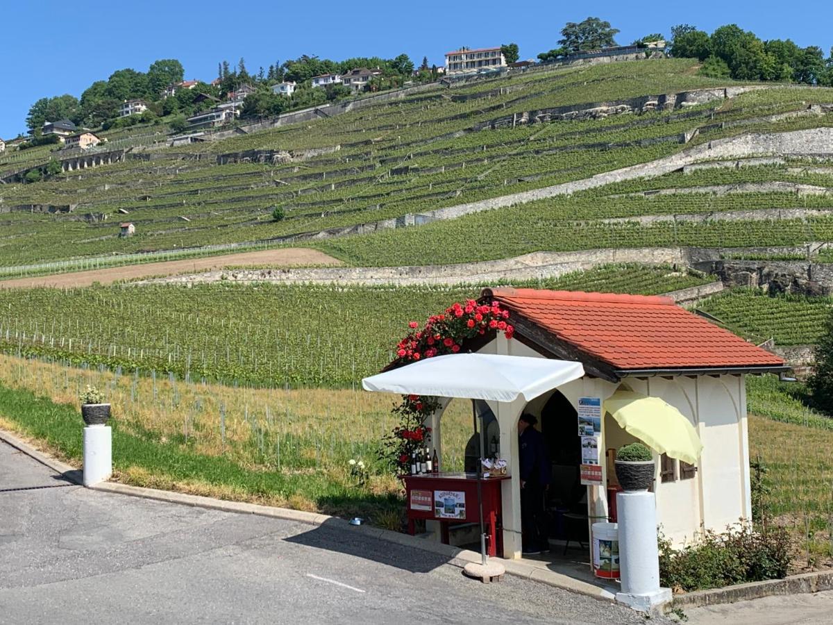 La Gremillette Gourmande Lavaux Apartman Rivaz Kültér fotó