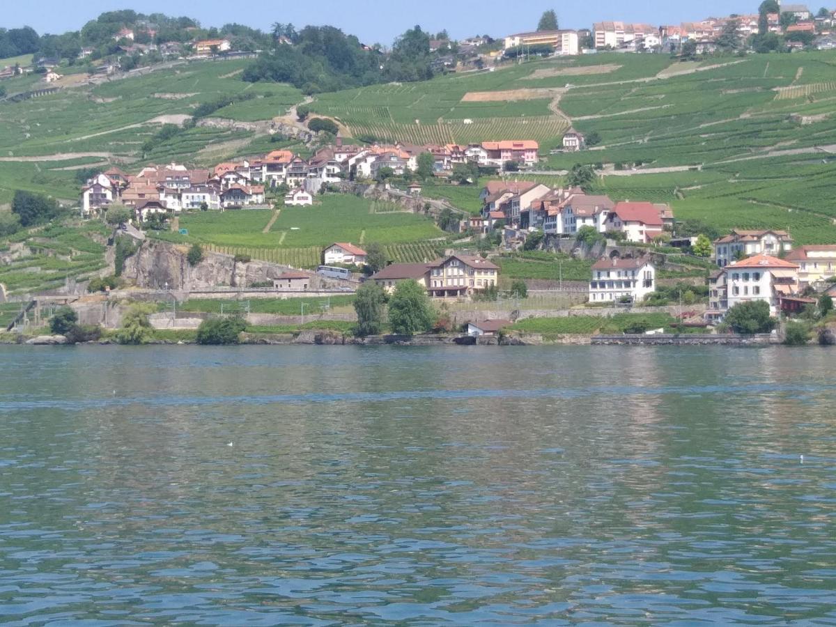 La Gremillette Gourmande Lavaux Apartman Rivaz Kültér fotó