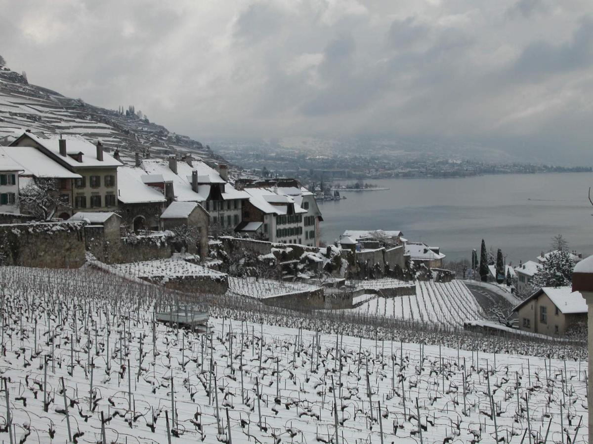 La Gremillette Gourmande Lavaux Apartman Rivaz Kültér fotó