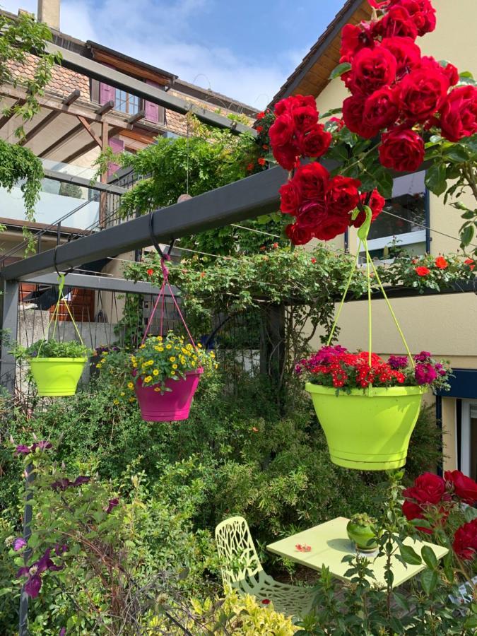 La Gremillette Gourmande Lavaux Apartman Rivaz Kültér fotó